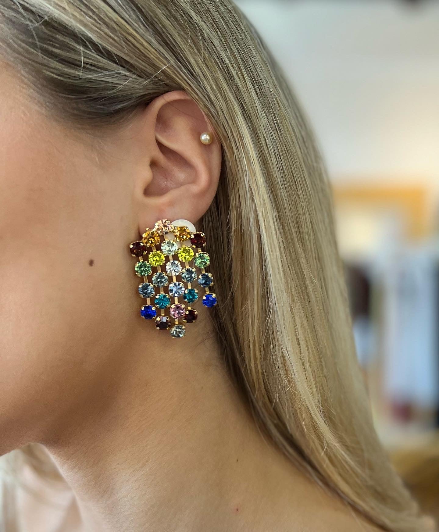 Rainbow Fringe Earrings