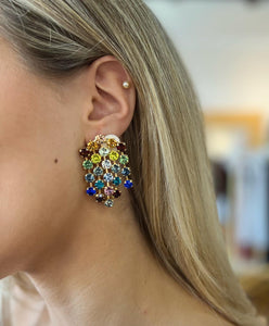 Rainbow Fringe Earrings